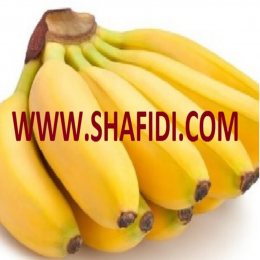 SBJEI-FRESH SAGOR BANANA